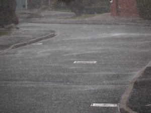 Arctic Roll in Solihull